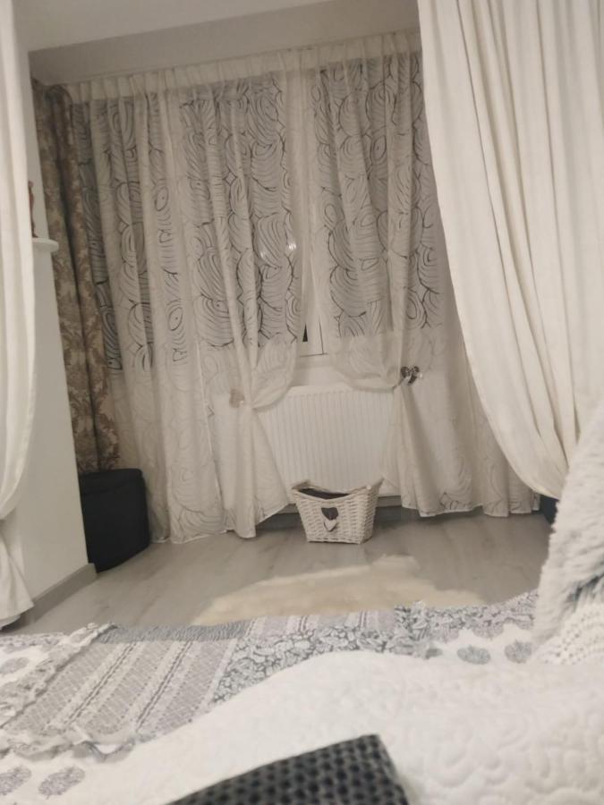 Ferienwohnung La Monica 2 - Cazare Straja - Lupeni - Retezat - Parang Exterior foto